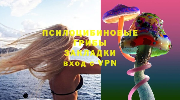 spice Балахна