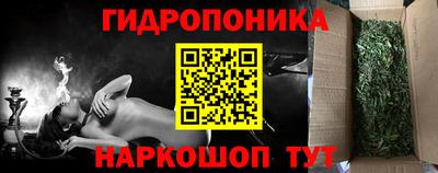 сатива Будённовск
