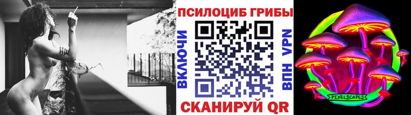 МЕГА сайт  где купить наркоту  Горячий Ключ  сайты даркнета клад  Псилоцибиновые грибы Psilocybe 