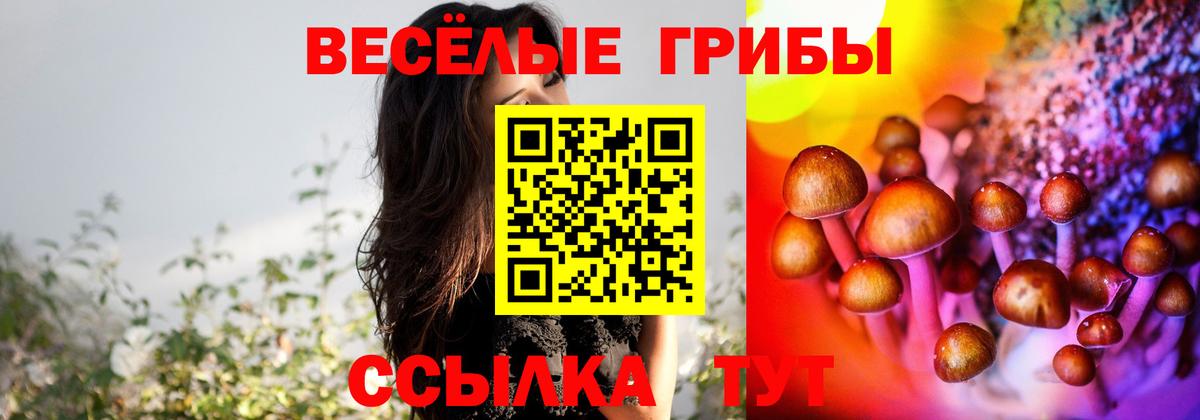 закладки  Горячий Ключ  Галлюциногенные грибы GOLDEN TEACHER 